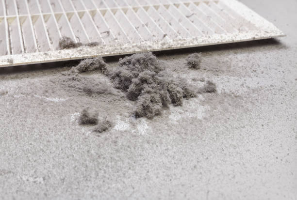 Best Commercial Air Duct Cleaning  in Prospect, KY