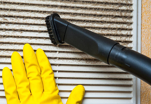 Best Ductwork Cleaning Services  in Prospect, KY